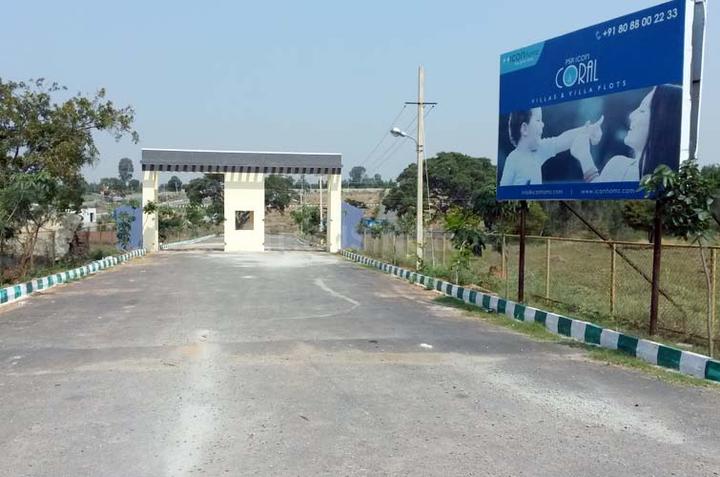 Gallery Cover Pic of PSR Icon Coral