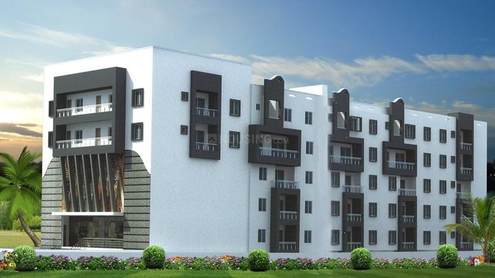 BM Harvest More Images 1