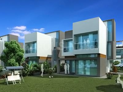 Gallery Cover Pic of 24 Palmera