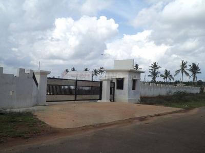Residential Plot