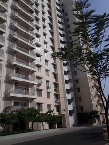 Gallery Cover Pic of Adani Water Lily Ph 2 Towers C1 C2 C3 C4
