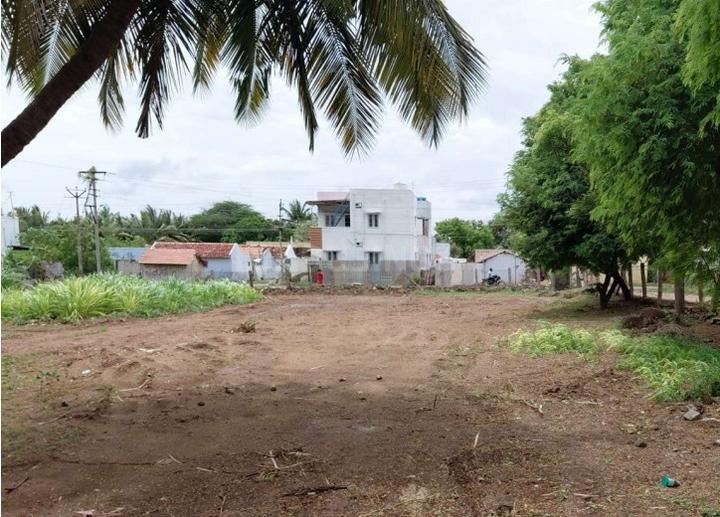 Gallery Cover Pic of Elantamil Avenue