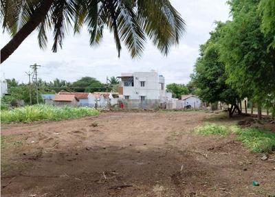 Gallery Cover Pic of Elantamil Avenue
