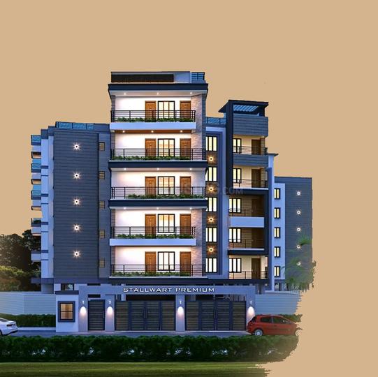 Gallery Cover Pic of Stalwart Premium