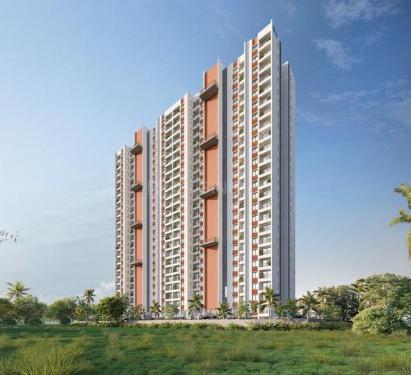 Gallery Cover Pic of DTC Capital City Crest