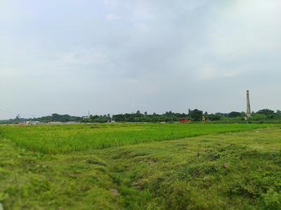 Swapnabhumi Land Elevation 1