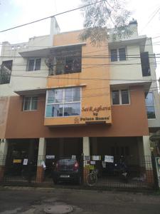 Palace Sai Raghava Project Images