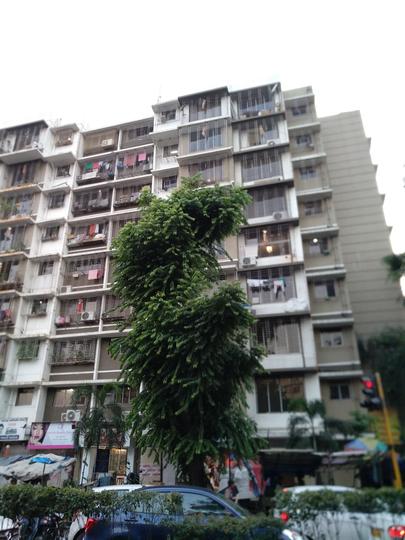 Shah Maneesha CHSL More Images 1