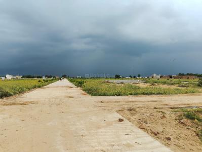 Project Image of 900 Sq.ft Residential Plot / Land for sale in Behror for Rs. 600000