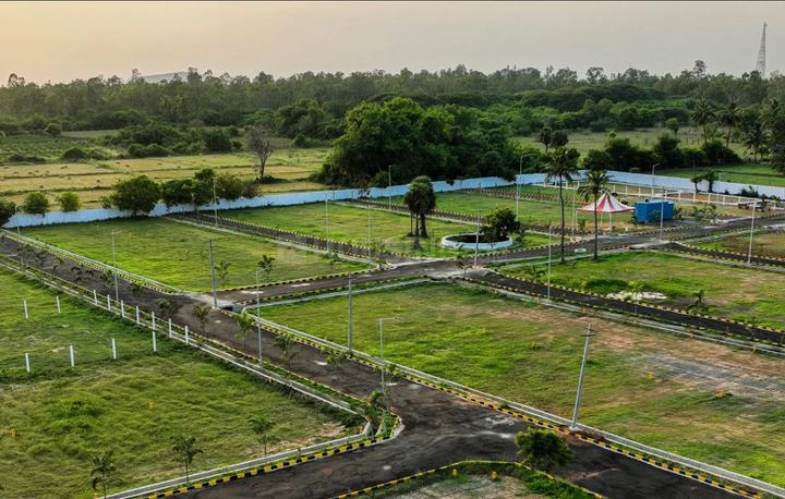 Gallery Cover Pic of Propshell Sencia