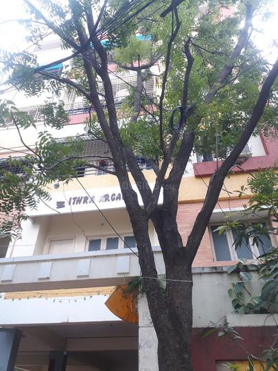 Gallery Cover Pic of Mithra Arcade