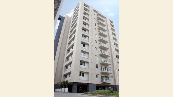 Gallery Cover Pic of Amaya 612 Elevate