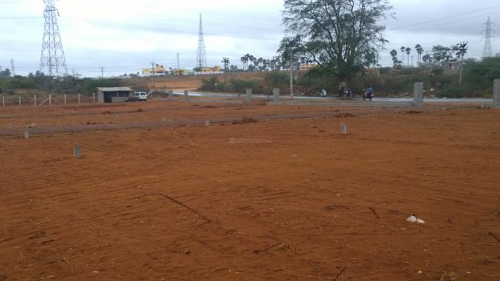 Gallery Cover Pic of Star Avenue