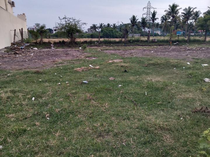 Gallery Cover Pic of Pro Gandhi nagar