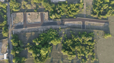 Nl Staar Elite Avenue Phase II Project Images