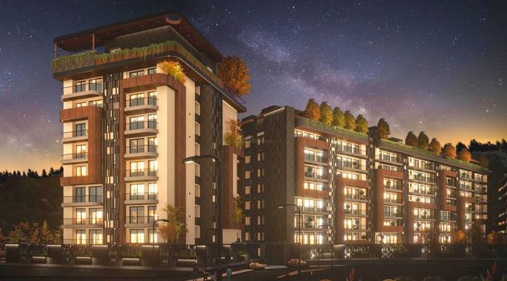 Gallery Cover Pic of Mist