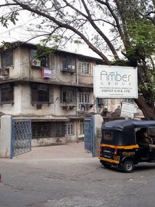 Amber Vidyut CHS