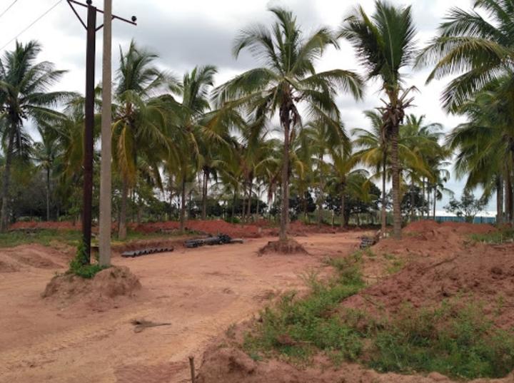 Gallery Cover Pic of Chartered Veda