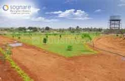 Dhaatri Sognare