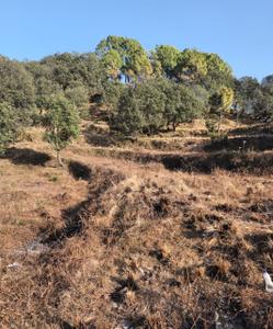 Residential Lands for Sale in Sunhil Mukteshwar Hills