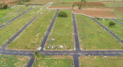 Elite Springs Phase 2 Project Images