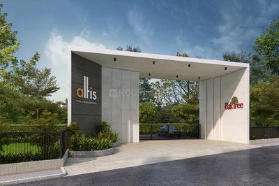 Altis The Oak Tree Project Images