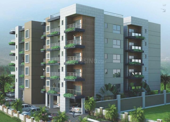 Gallery Cover Pic of Siddha Basil