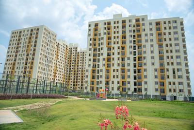 Gallery Cover Pic of Tata New Haven Ribbon Walk