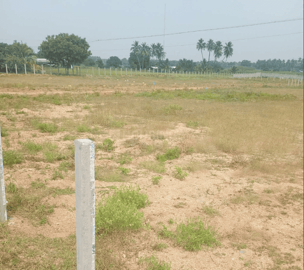 Gallery Cover Pic of Meenakshi Avenue Phase 2