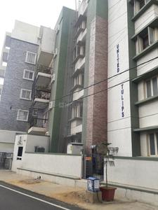 Gallery Cover Pic of United Tulip Apartments