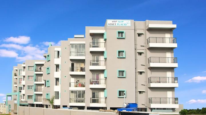 Gallery Cover Pic of Coevolve Placid