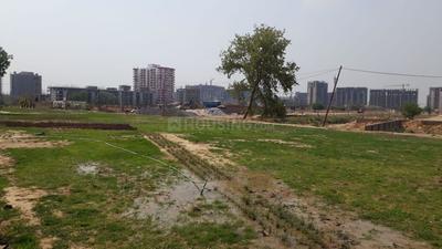 Residential Plot