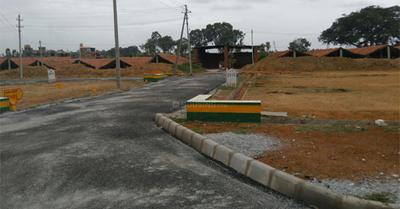 Nest Amba Project Images