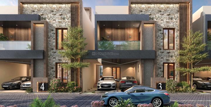 Gallery Cover Pic of Saradeuz Encanto