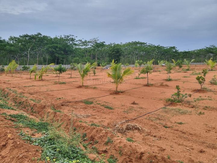 Residential Lands for Sale in Sahasra Mango Garden Phase 1
