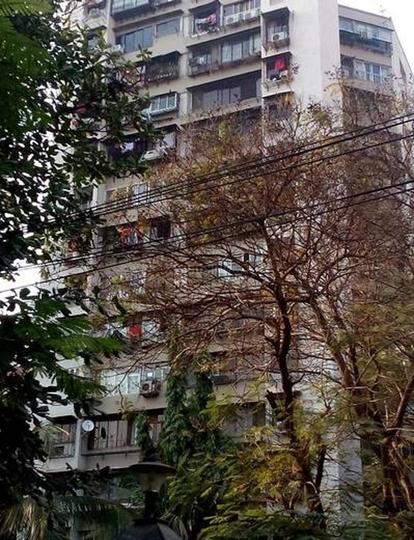 Amit Estates More Images 1