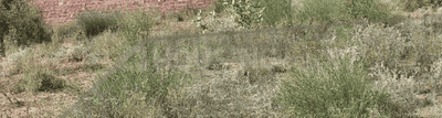 Roop Shree Vihar Project Images