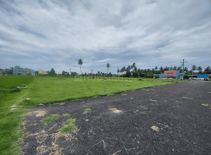Gallery Cover Pic of Ranikrishnan Nagar