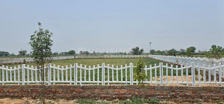 TS Golden City Main Image 1