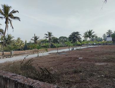 Emmanuel Escala Paradise