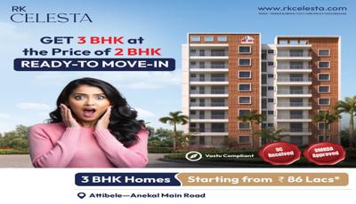 RK Celesta Project Images