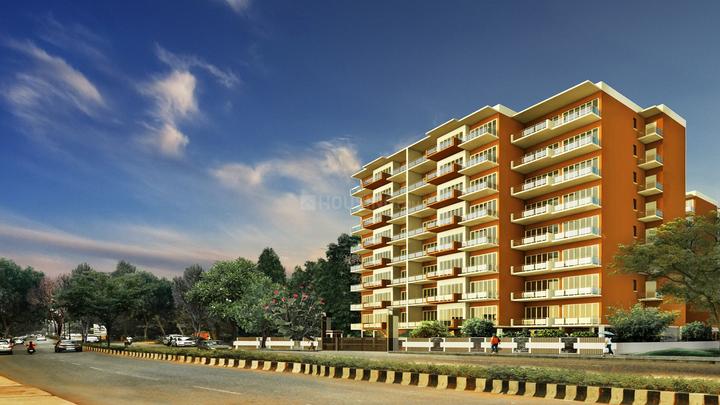 Gallery Cover Pic of Models Heights