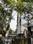 Gallery Cover Pic of Swaraj Homes Rajshree Residency CHSL