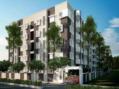 Gallery Cover Pic of Orchid Green