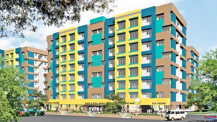 Jangid spring rose More Images 1