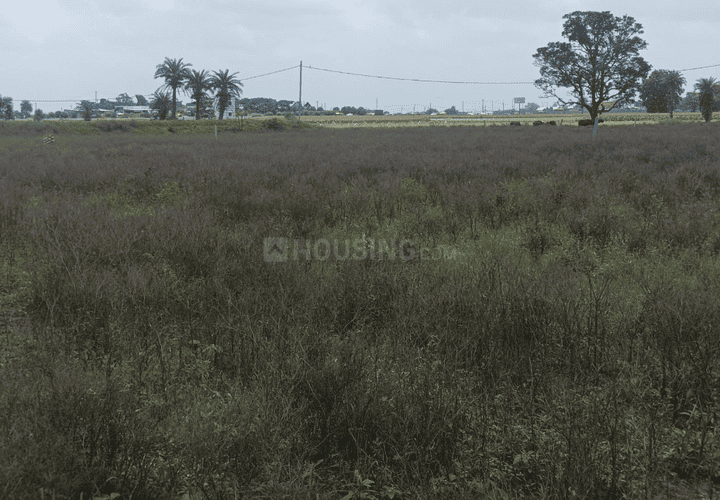 Gallery Cover Pic of Siddham City