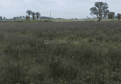 Siddham City More Images 1