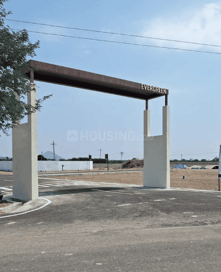 Gallery Cover Pic of Evergreen