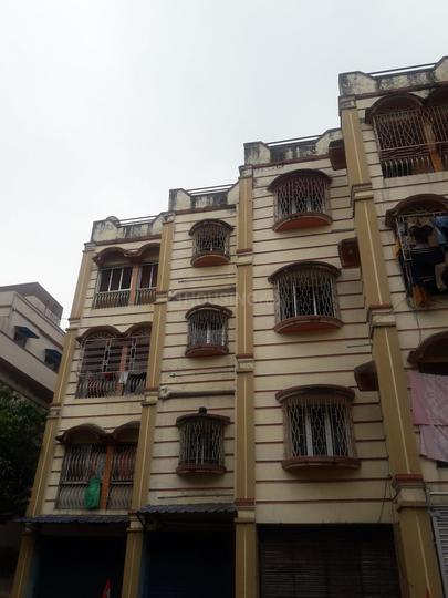 Gallery Cover Pic of Pacific Glory