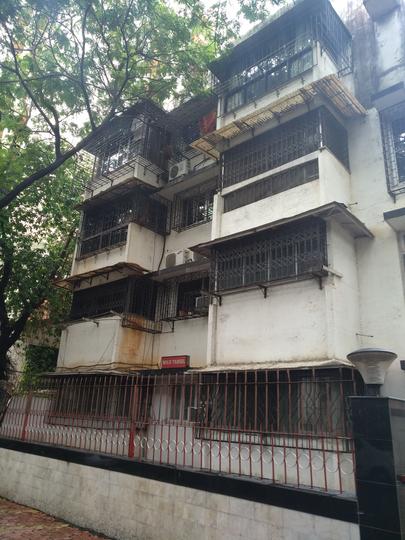 Gallery Cover Pic of Wild Teasel